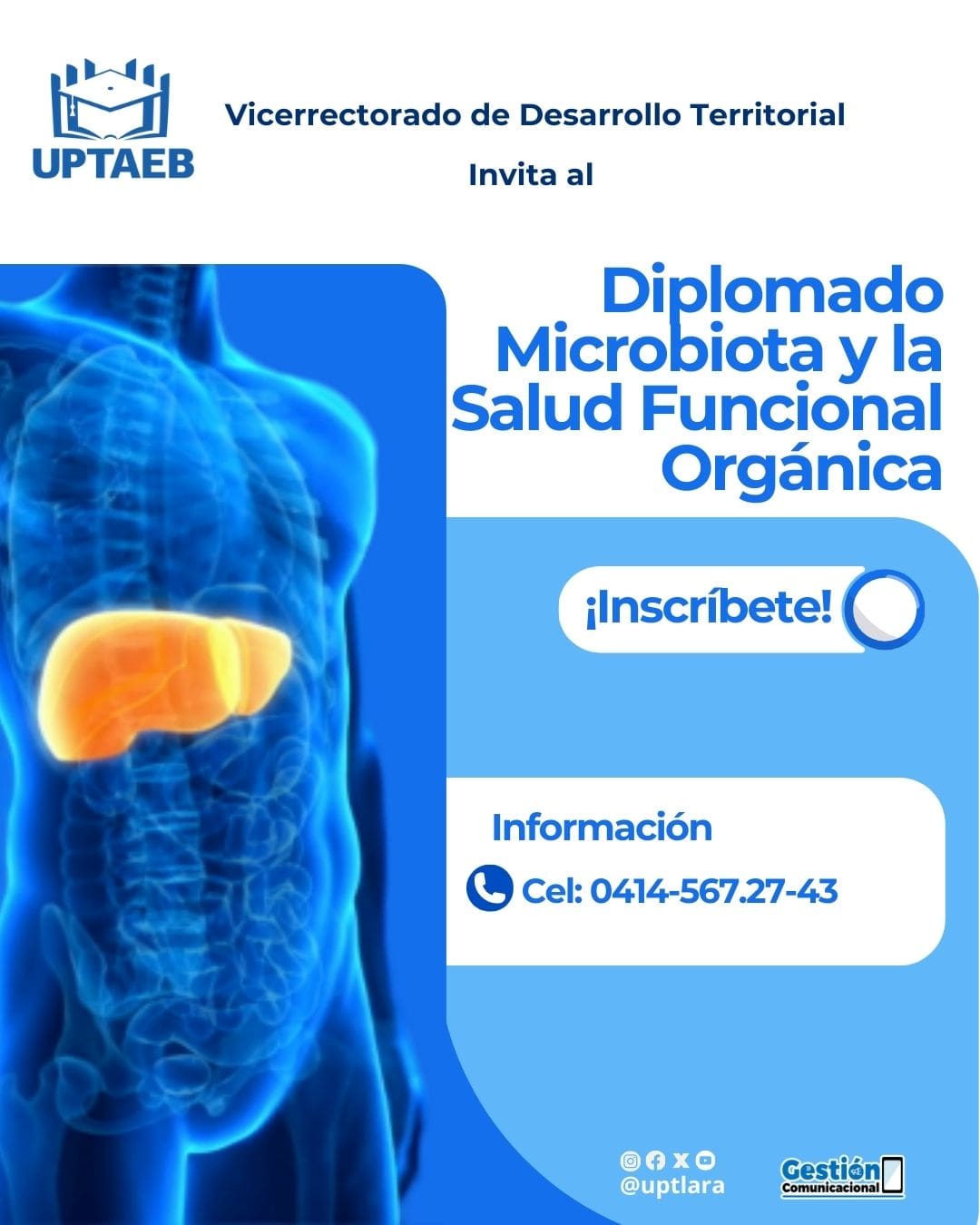Diplomado en Microbiota y la Salud Funcional Orgánica